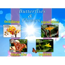 Fauna Butterflies and Flowers