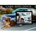 Транспорт Автомобили и собаки