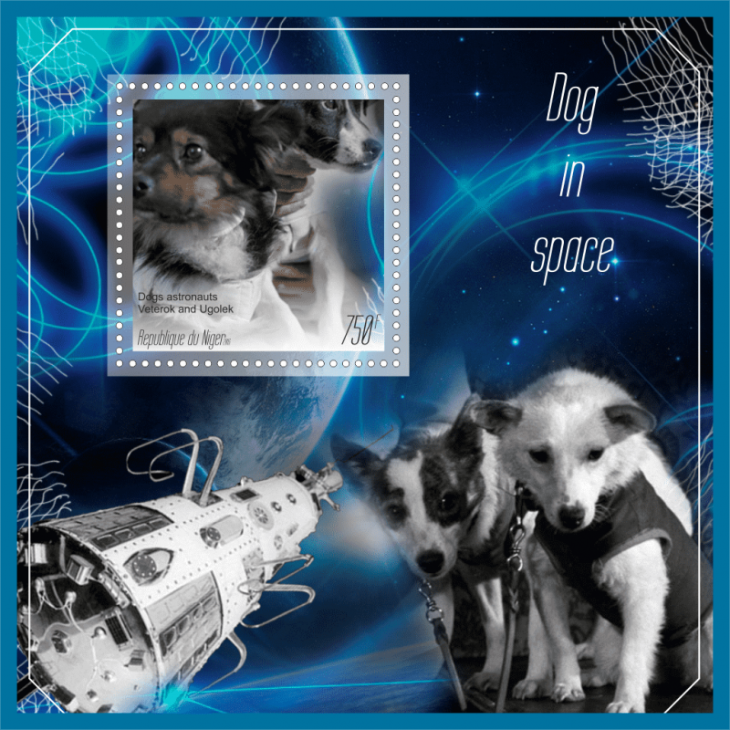 Клички собак в космосе. Собаки в космосе. Собака в космосе рисунок. Подготовка собак в космос. Породы собак с космическими.