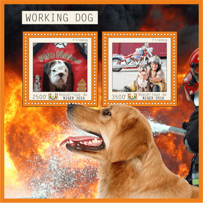 Пожарные собаки картинки для детей