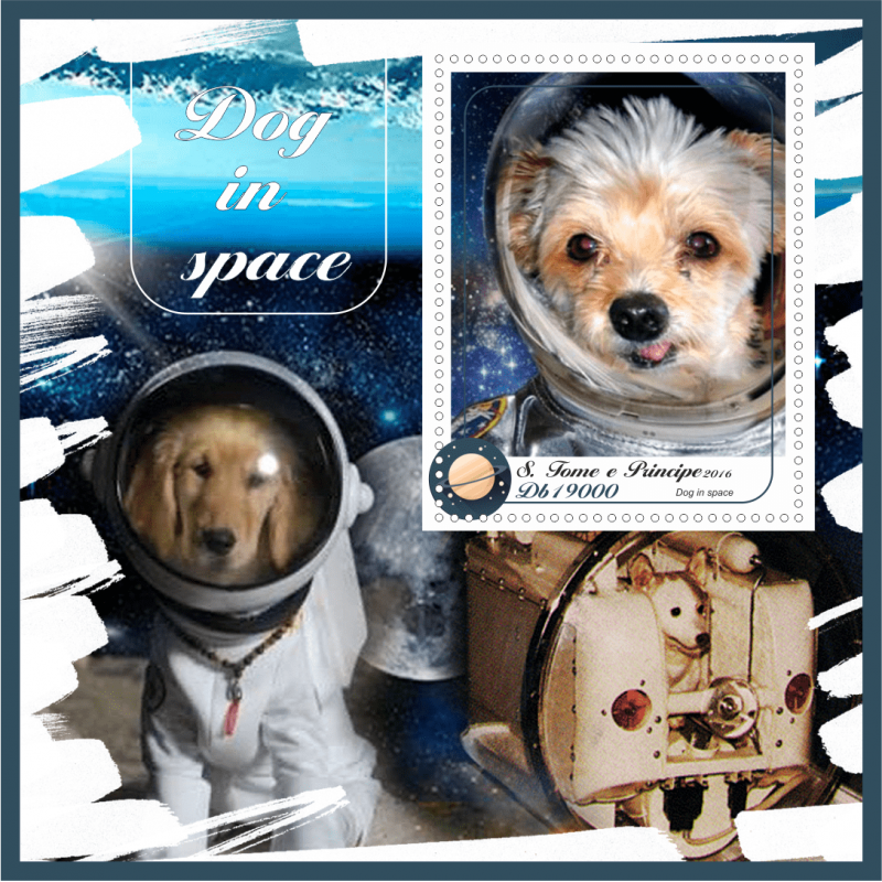 Клички собак в космосе. Породы собак с космическими. Собака космос стражей. Мини собака космический. Космическая собака Марвел.