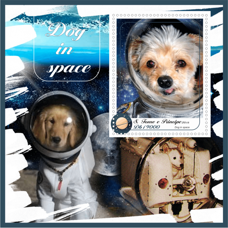 Клички собак в космосе первых. Собаки в космосе Dogs in Space. Космические имена собак. Клички собак в космосе. Мини собака космический.