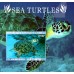 Фауна Морские черепахи
