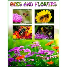 Fauna Bees and flowers